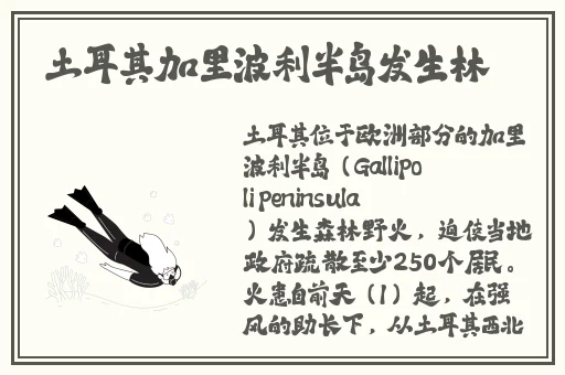 有染1V2阮然